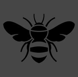 Anderson Design Collective