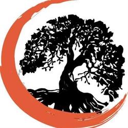 The Bimer Bonsai Club