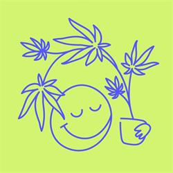 Plant Playground