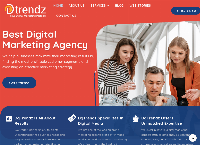 DgTrendz - SEO Management Services's website
