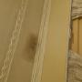 ceiling mould removal