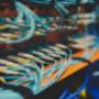 data cabling adelaide