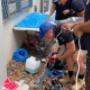 sewage pipe relinging