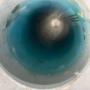trenchless pipe relining