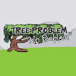 Tree Problem No Problem