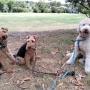 Three is a crowd!