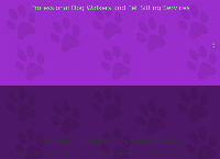 Pawsitive Dogwalks's website
