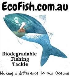 EcoFish