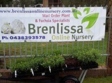 Brenlissa Online Nursery