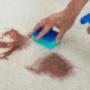 City Carpet Cleaning Perth