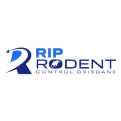 RIP Rodent Control Brisbane