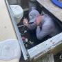 Termite Inspection