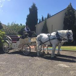 Castlereagh wedding carriages