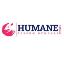 Humane Possum Removal Sydney