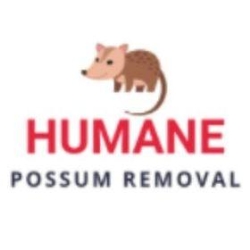 Humane Possum Removal Melbourne