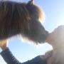 The Horse's Heartbeat