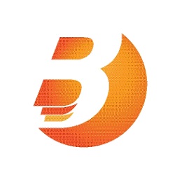 Bizi Loans