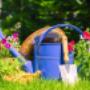 Gardening-Toowoomba