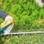 Hedge-Trimming-Toowoomba