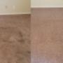 Carpet Cleaning In Perth