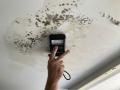 Pre-purchase Building and Pest Inspection