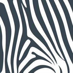 Zebra Plumbing Melbourne