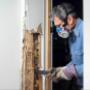 Termites are very destructive