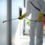 Eco Pest Control Gold Coast