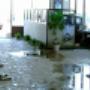 Water Damage Restoration Sydney