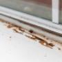 Pro Pest Control Townsville