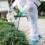 Residential Pest Control