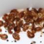 Pro Pest Control Canberra