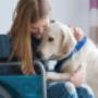 Assistance Animal