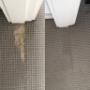 Carpet Repair