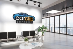 Car Clip Supplier