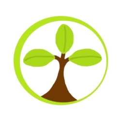 Tree Lopping Carindale