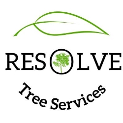 Resolve Tree Services