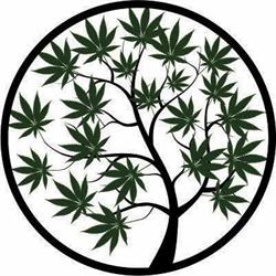 Hemp Health & Vape