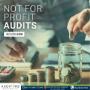 Company Auditor Sydney