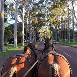 Swan Valley Wagon Tours