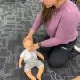 first aid courses