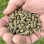 The Aussie Farrier Hoof supplement