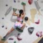 Climber
