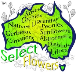 Select Flowers ABN: 64 517 410 881 Trading as: Caloundra Florist & Flowering Gifts