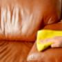 Rejuvenate Upholstery Cleaning