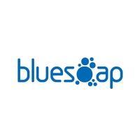 BlueSoap Website Designers