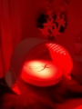 Dermalux LED Light
