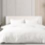 bed sheet