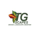 TG Scapes