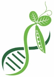 Mendel Genetics
